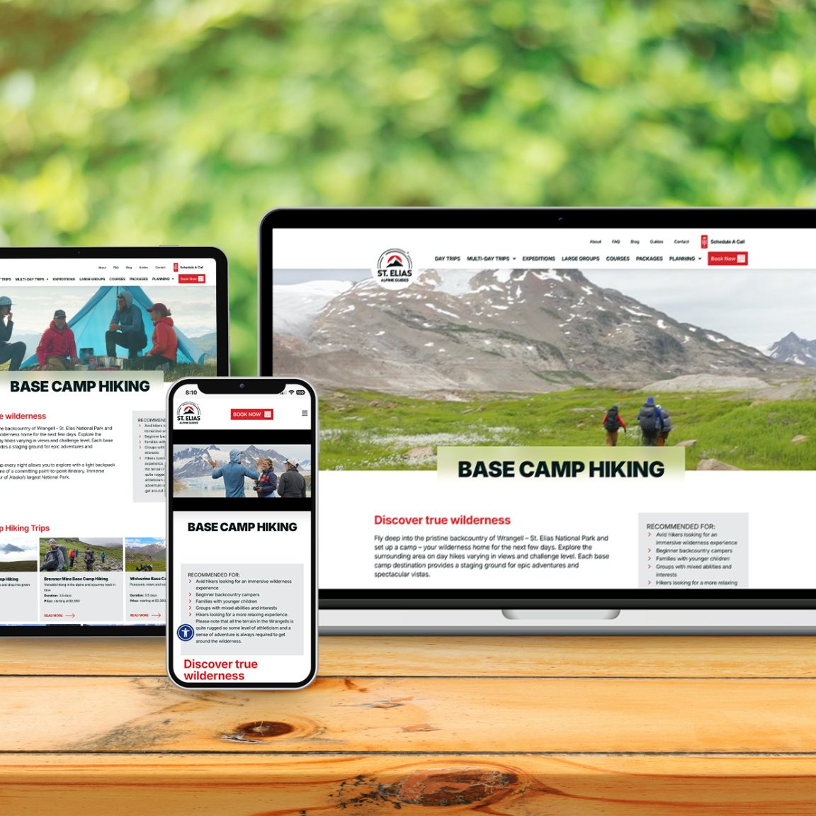 St. Elias Alpine Guides, website support by Tree Ring Digital